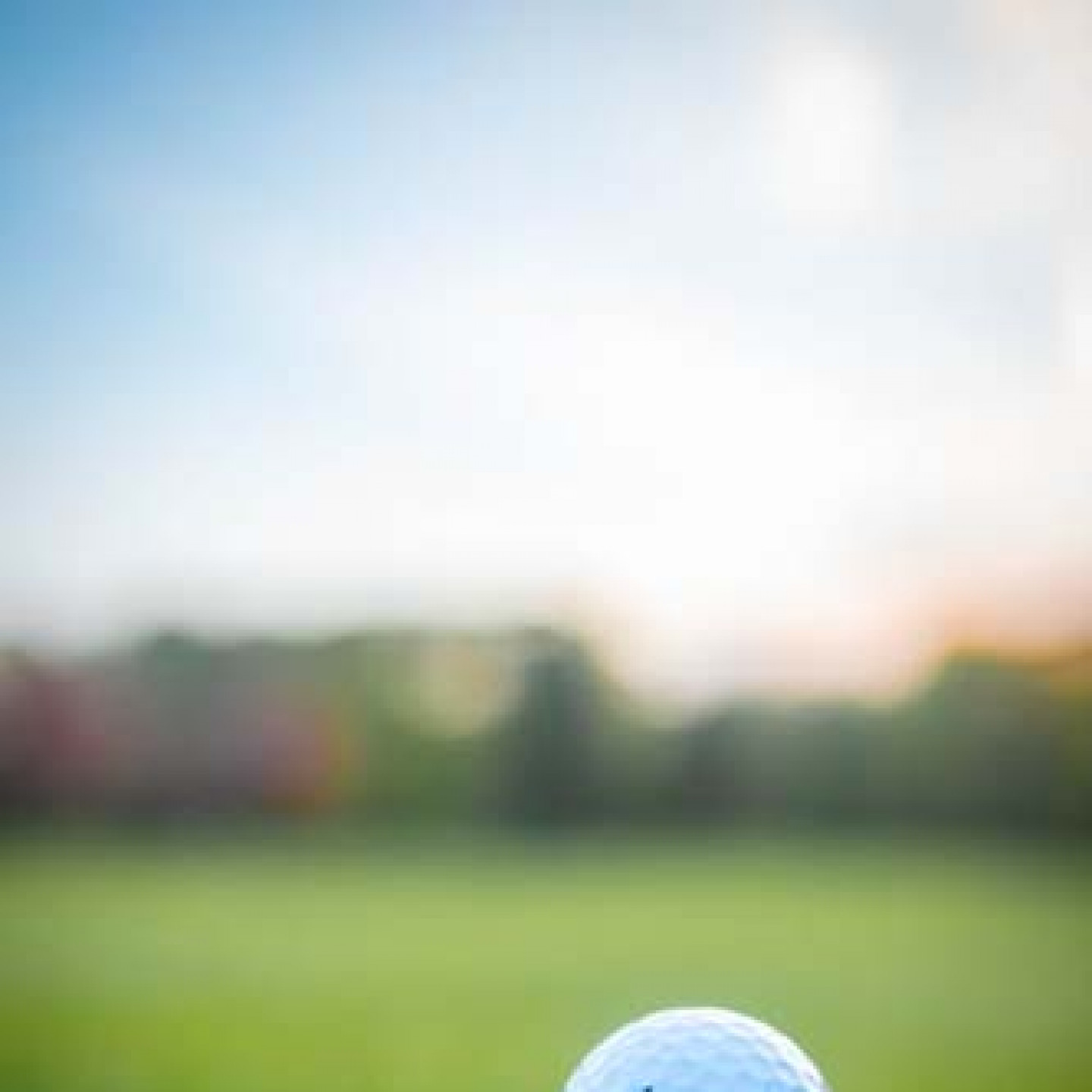 Contact A Local Country Club In Albion, MI Duck Lake Country Club