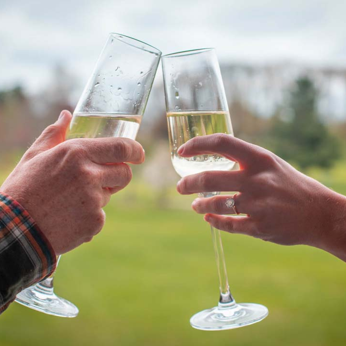 Wedding & Event Venue Albion, MI Duck Lake Country Club